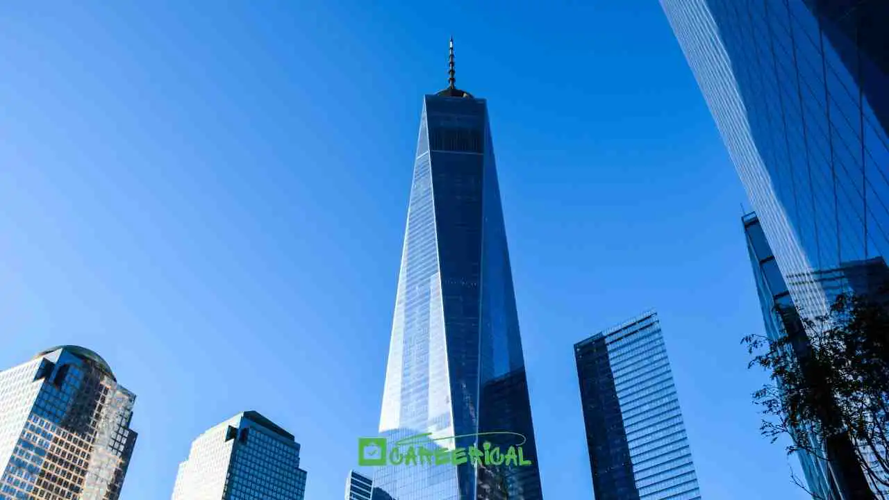 WTO Programme in Switzerland A Rare Entry Into Global Trade Careers