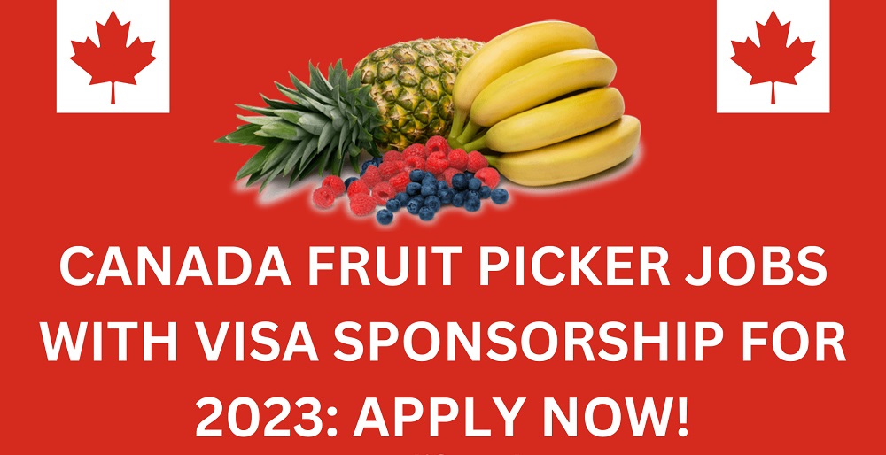 🇨🇦 Apply Fruit Picker Jobs with Visa Sponsorship in Canada 2023