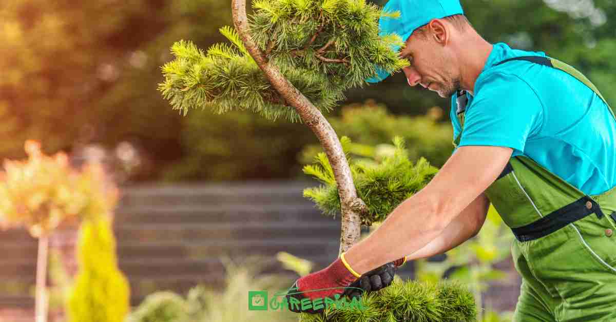 Jobs in Italy 88,000 Seasonal Work Visas Available for 2026