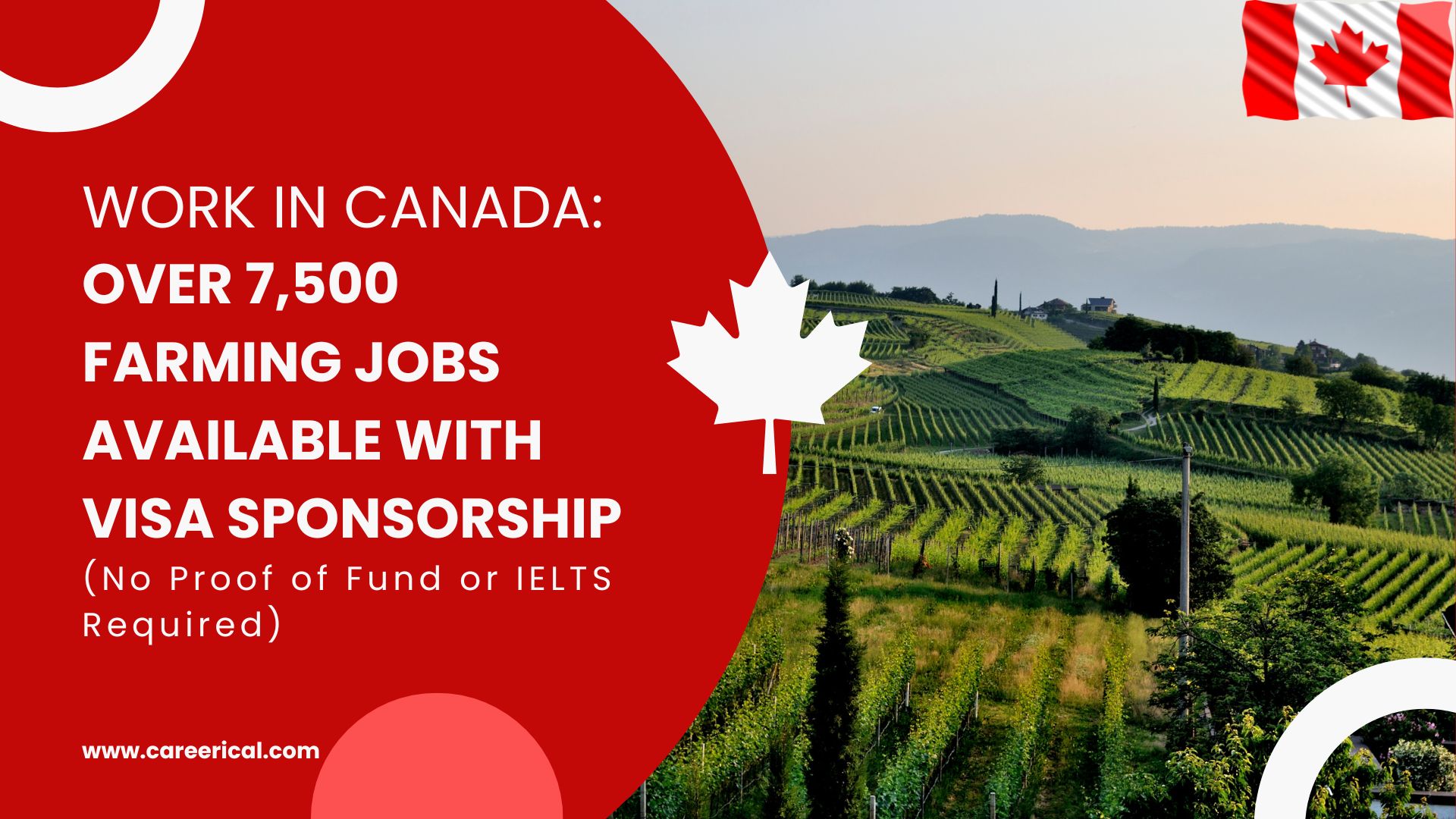 Work in Canada: Farming Jobs Available with Visa Sponsorship