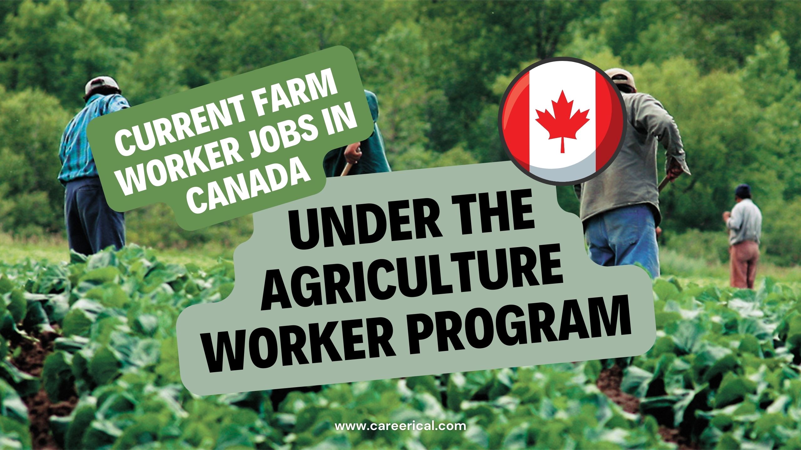 Current Farm Worker Jobs in Canada under the Agriculture Worker Program