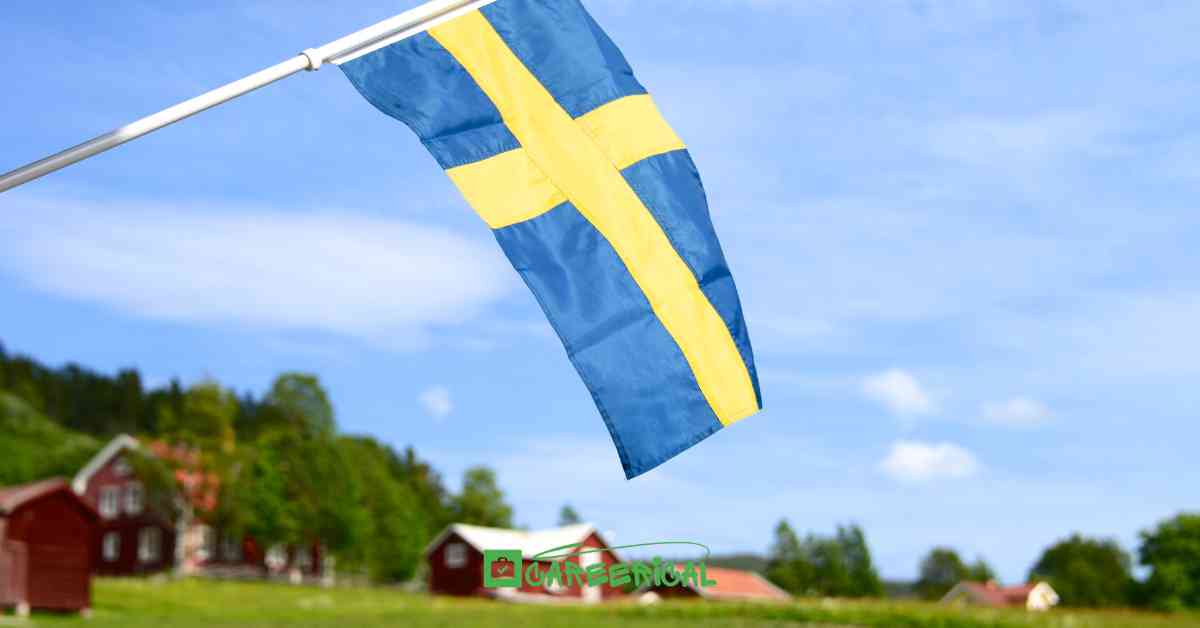 Understanding the Different Types of Swedish Visas