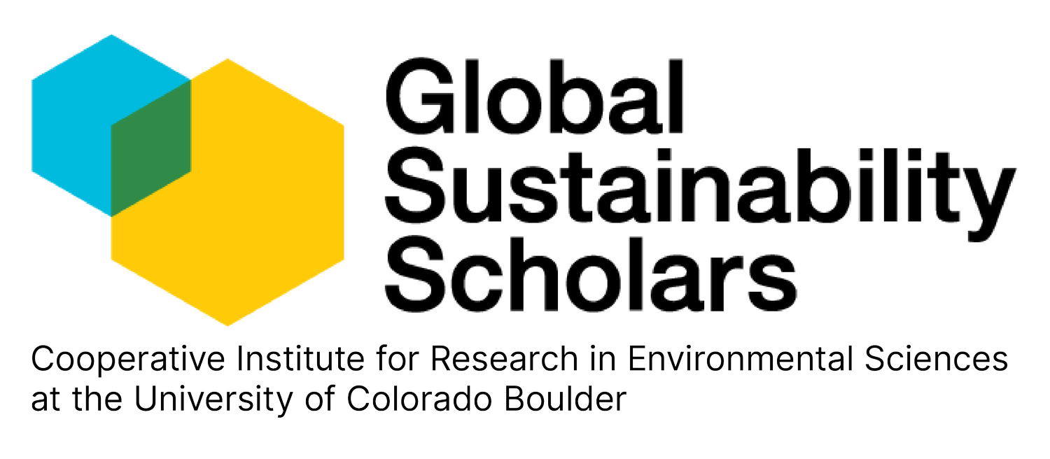 Call to Apply - Global Sustainability Scholars Fellows Program 2024