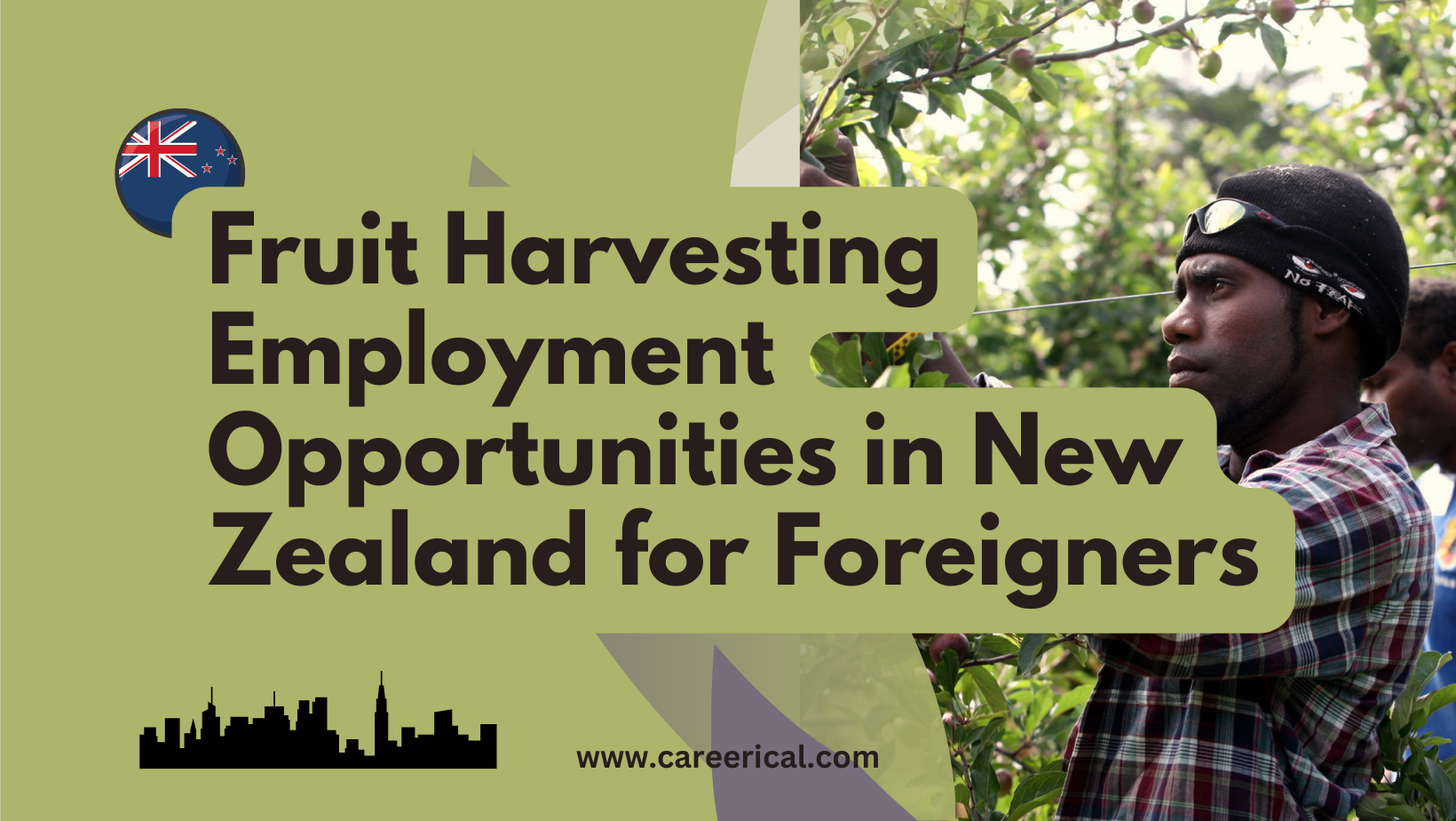 Fruit Harvesting Employment Opportunities in New Zealand for Foreigners