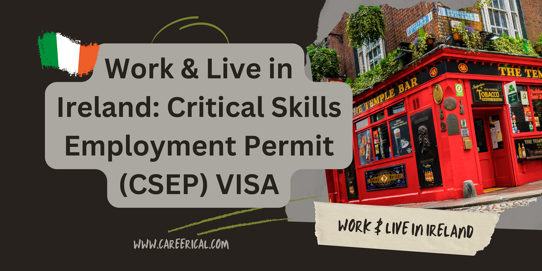 Work & Live in Ireland Critical Skills Employment Permit (CSEP) VISA