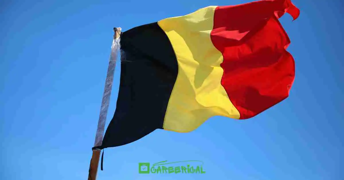 Belgium Visa Sponsorship Jobs 10 Most Preferred Career Fields