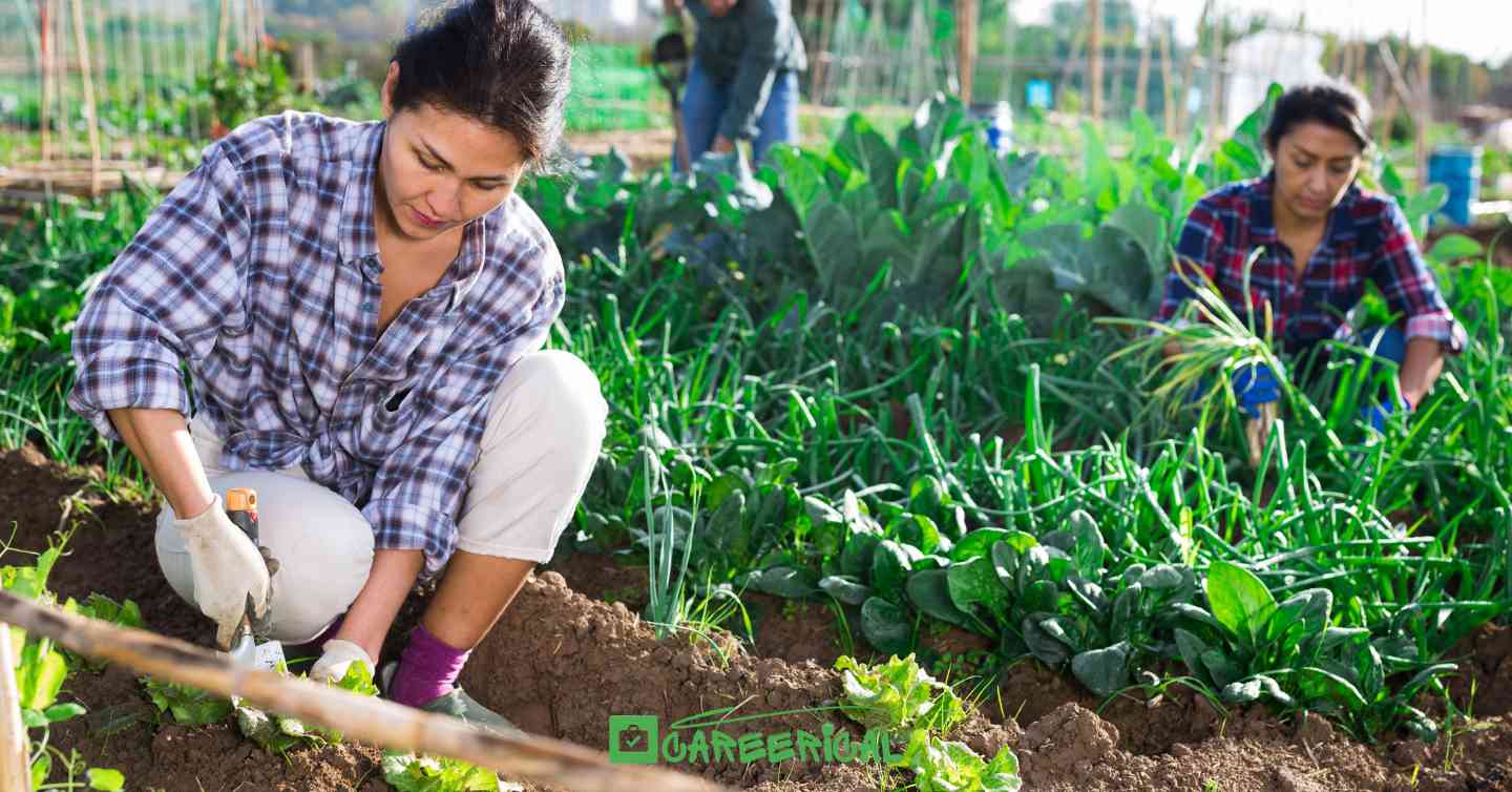 Visa Sponsored Farm Worker Jobs in Switzerland for 2025