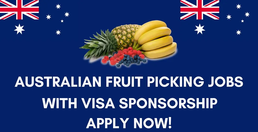 Fruit-Picking-Jobs-in-Australia-With-Visa-Sponsorship