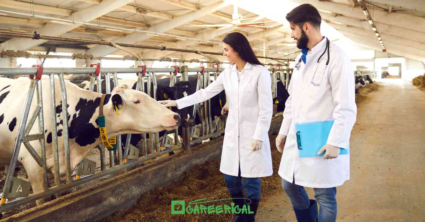 🇳🇿 Livestock Farming Jobs with Visa Sponsorship in New Zealand 2025