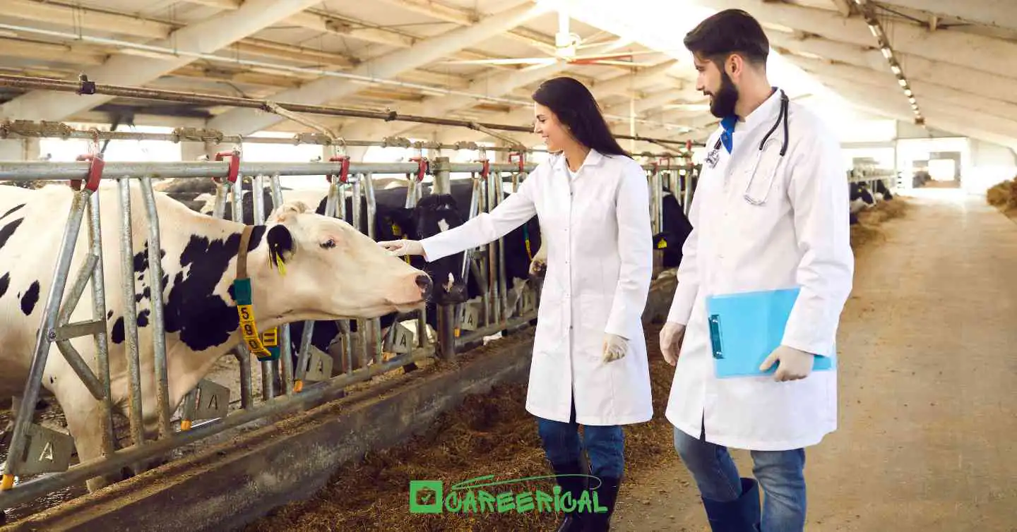 🇳🇿 Livestock Farming Jobs with Visa Sponsorship in New Zealand 2025