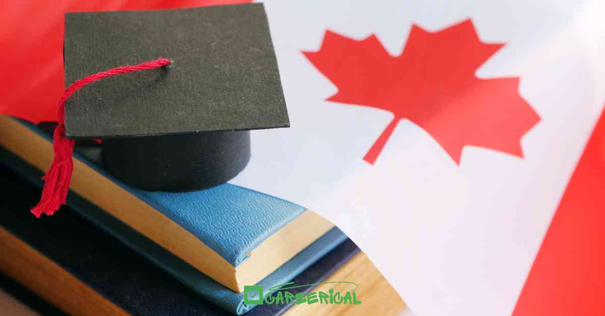 McCall MacBain Scholarship at McGill University Canada