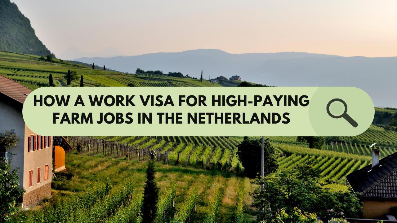 Securing a Work Visa for High-Paying Farm Jobs in the Netherlands