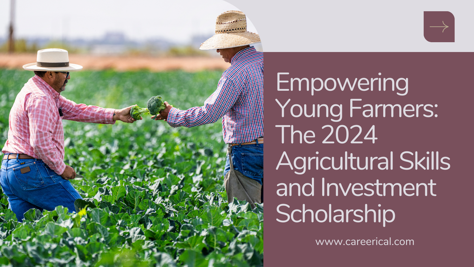 Empowering Young Farmers The 2024 Agricultural Skills and Investment Scholarship