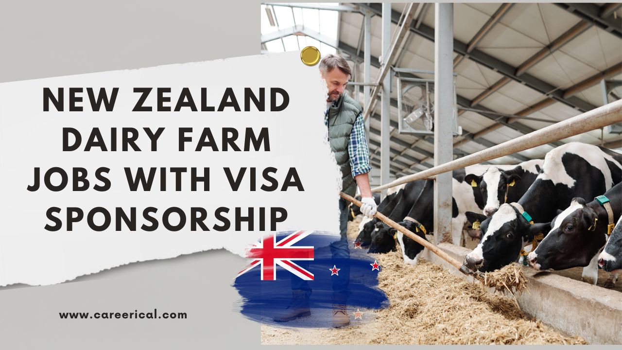 New Zealand Dairy Farm Jobs with Visa Sponsorship