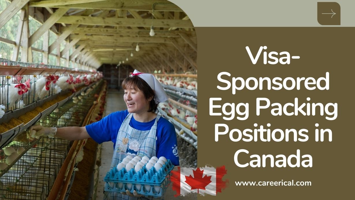 Visa-Sponsored Egg Packing Positions in Canada