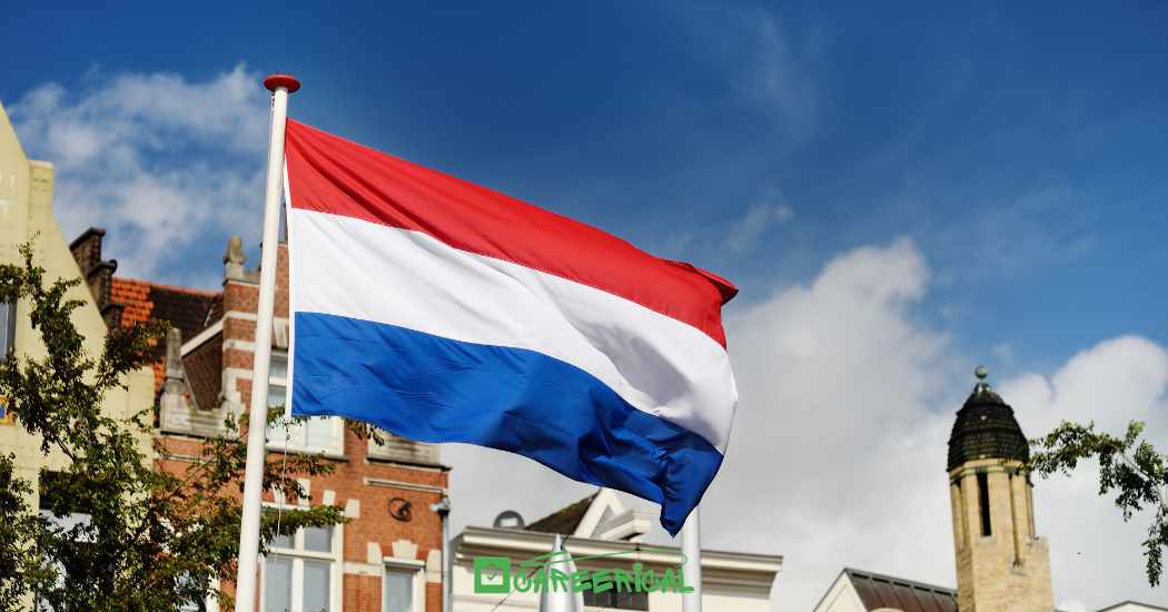 Top 10 Companies in the Netherlands That Sponsor Work Visas