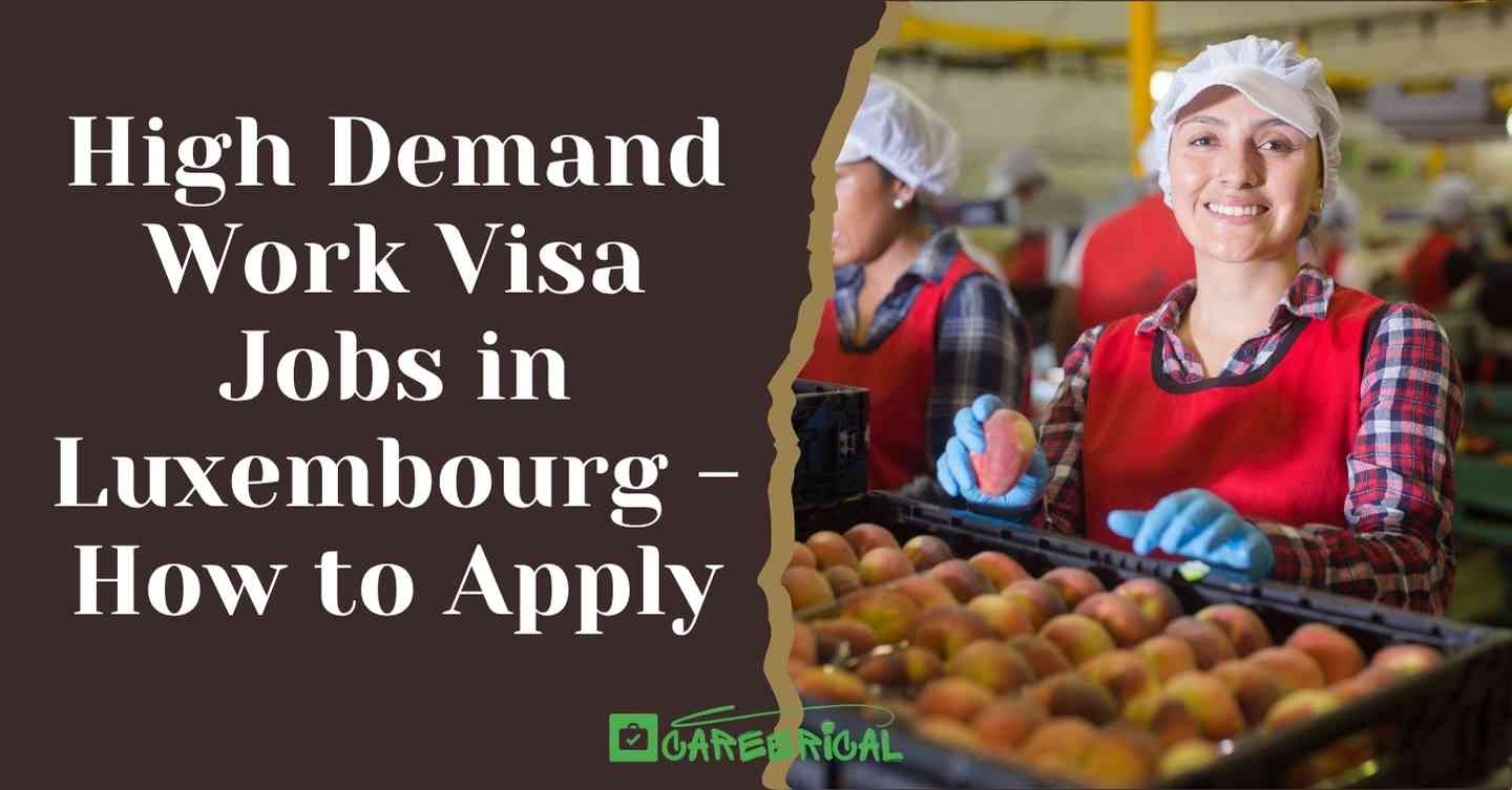 High Demand Work Visa Jobs in Luxembourg 2025 - How to Apply
