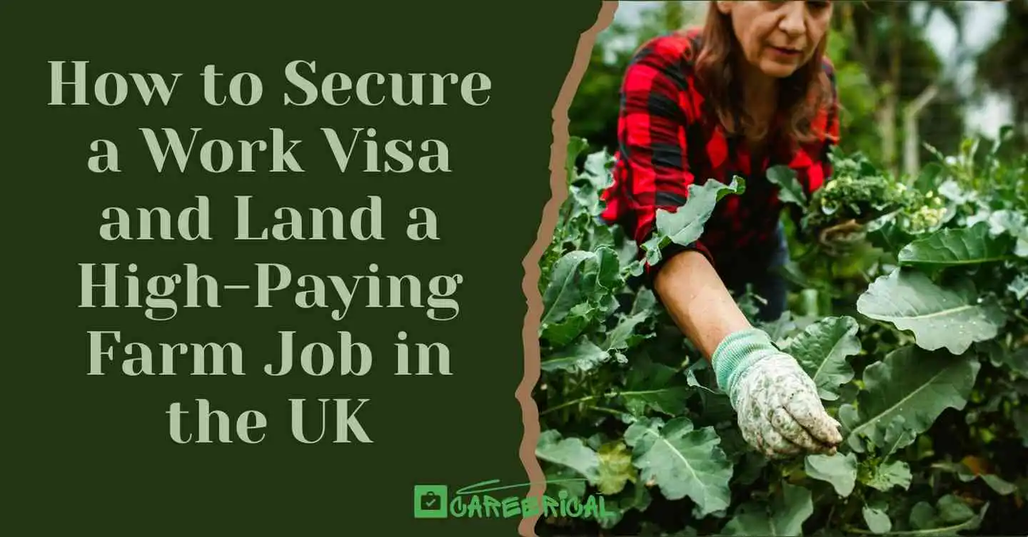 Secure a Work Visa and Land a High-Paying Farm Job in the UK