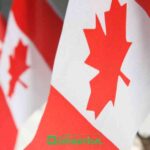 Canada Work Permit Without Employer Sponsorship