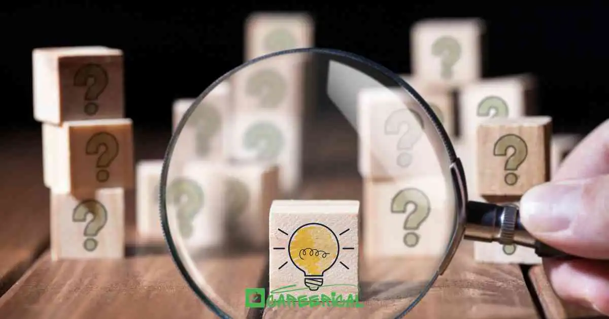 Skill Shortage Work Visa Programs for Fresh Graduates