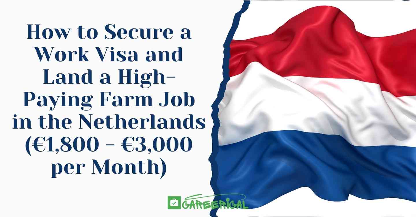 How to Secure a Work Visa and Land a High-Paying Farm Job in the Netherlands 2025