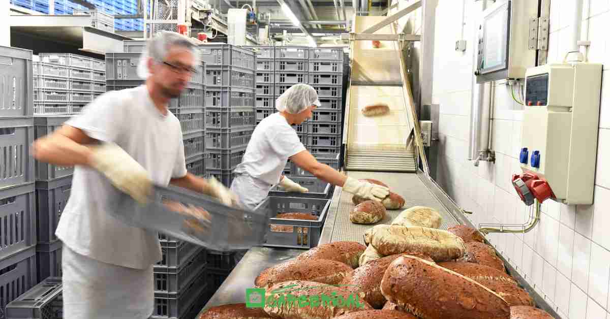 Countries Begging for Workers in 2026 Top 5 Facing Serious International Labor Shortages